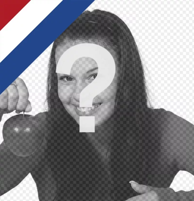 bandiera olandese per mettere in un angolo della foto gratis ..