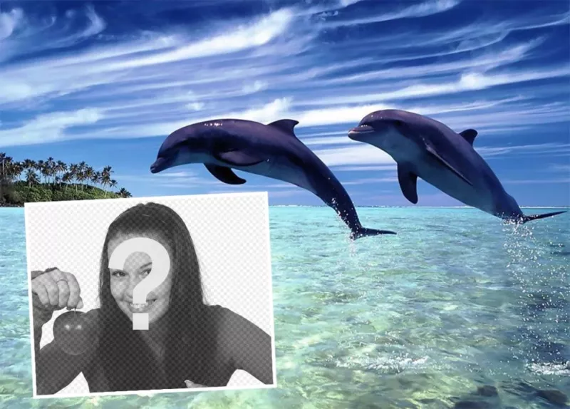 Postale di vacanza per modificare con la tua foto e inserirlo con due delfini ..