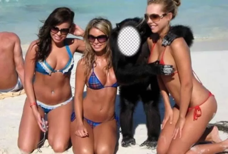 Creare questo fotomontaggio di essere una scimmia con tre ragazze in costume da bagno ..