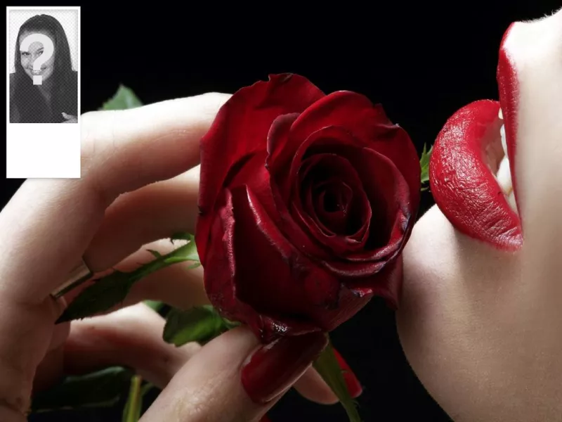 Sfondo romantico a Twitter con una rosa rossa. Personalizzabile con la tua..