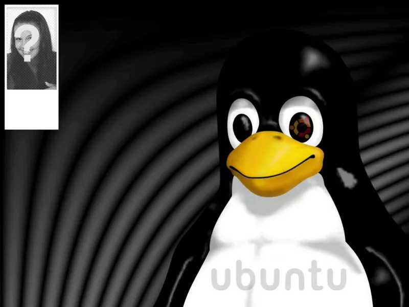 Sfondo per Twitter del Tux la mascotte di Linux dove si può mettere la tua..