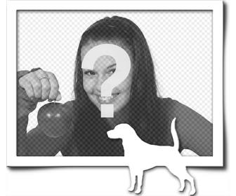 cornice digitale che consiste di un bordo grigio e bianco silhouette di un cane coda sollevata come avesse trovato un sentiero