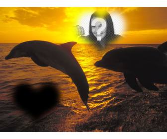 collage per due foto forma di cuore e delfini che saltano