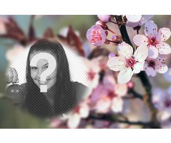 fotomontaggio sfondo sfocato fiori di ciliegio e un photoframe semitrasparente arrotondata per fare tua foto