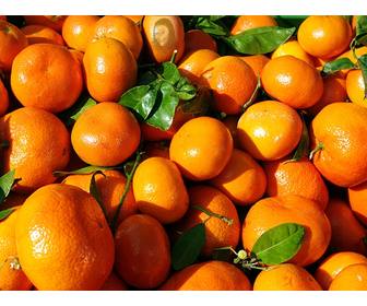 gioco educativo in cui devi trovare un volto in un arancio e di imparare mangiare sano