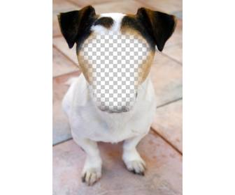 fotomontaggio di cane in cui e possibile inserire il vostro viso e gratis