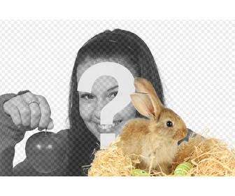 fotomontaggio un coniglio e uova di pasqua da aggiungere alle tue foto online e gratis