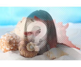 fotomontaggio per fare un collage conchiglie di mare e conchiglie nella sabbia sulla spiaggia foto di voi
