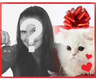cartolina romantica il bianco gattino persiano il cuore di fronte confezione regalo e foto carica online