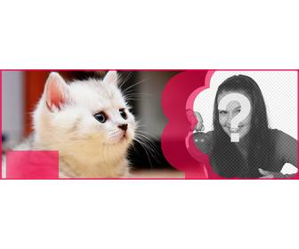 personalizzato facebook coprire un gatto bianco e un fiore rosa per mettere vostra immagine e il testo che desideri