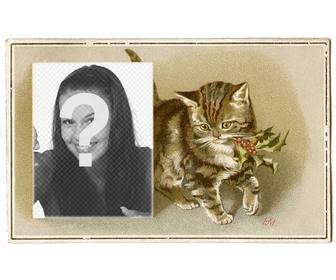 cartolina di natale vintage brown gatto disegnato un agrifoglio in bocca e casella in cui inserire fotografia