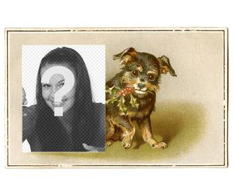 cartolina di natale dellannata il nero e marrone cucciolo disegnato sorridente in possesso di un ramo di agrifoglio bocca