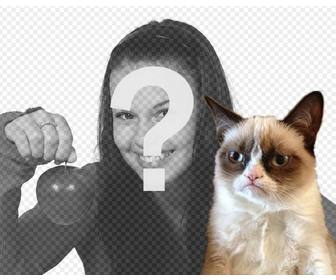 fotomontaggio grumpry gatto meme che e diventato famoso in tutto il internet