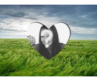 amore photoframe di mettere foto romantica forma di cuore un paesaggio campo di grano verde e il cielo blu