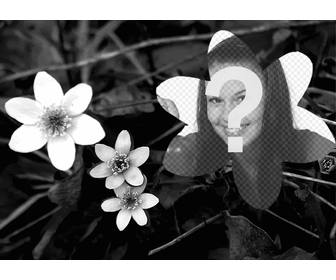 collage foto di fiori in bianco e nero e foto caricata da forma di fiore troppo