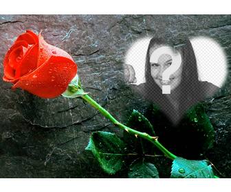 metti foto allinterno di un cuore rosa accanto questa foto effetto lamore che puo inviare come cartolina