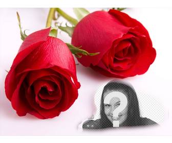 cartolina damore due rose e cornice in cui inserire foto
