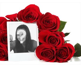 photo frame in linea circondato da mazzo di rose