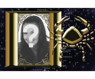 quadro che puo essere collegato il segno zodiacale scorpione vostra foto
