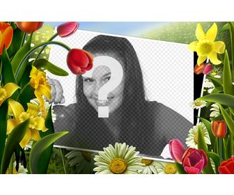 photo frame disegni di fiori e piante primaverili