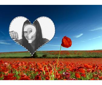 carta di mettere tua foto in un cuore in un campo di fiori