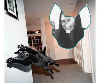 fotomontaggio un gatto saltando come fosse unesplosione