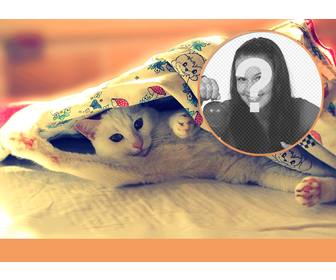 collage un gatto che estende un letto che da il buongiorno le gambe