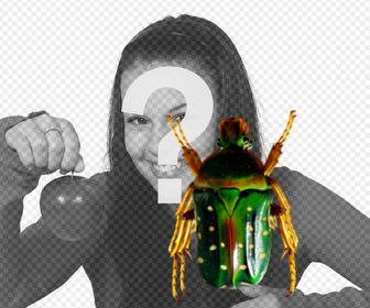 vignetta un coleottero verde per mettere nelle tue foto insetti stecco