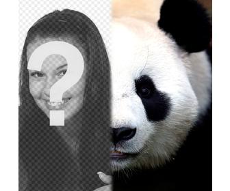 trasforma tua panda faccia meta questo fotomontaggio