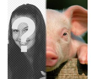 maiale tua faccia per fare fotomontaggio utilizzare questa assemblea