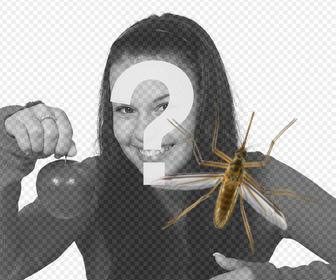 fotomontaggio online per mettere zanzara nelle foto