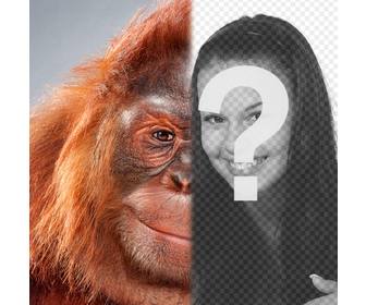 fotografia di montaggio meta tuo viso trasformato in un orango