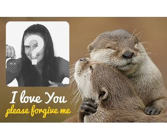 collage di perdono due lontre che abbracciano