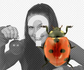 fotomontaggio per mettere coccinella nelle foto