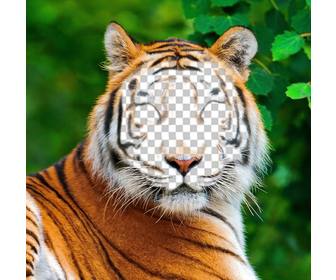 fotomontaggio di tigre per caricare tua foto sul suo volto