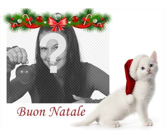 effetto foto di buon natale un gatto foto