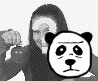 sticker gioco trova panda per le tue foto