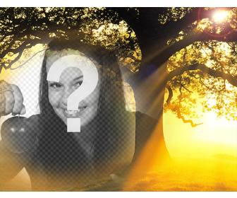modifica questo collage di foto di un tramonto un albero vostra foto gratis effetto foto