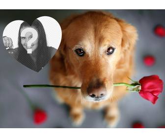 romantico effetto foto un cane e rosa aggiungere foto