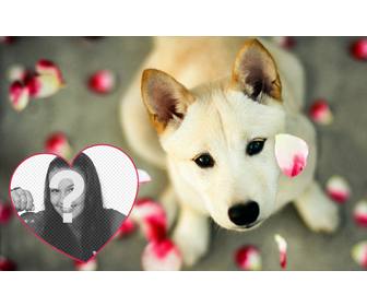 effetto photo carino per aggiungere tua foto in un cuore fotomontaggio online un cucciolo