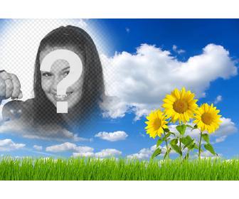 effetto in linea per modificare e aggiungere tua foto in un paesaggio margherite