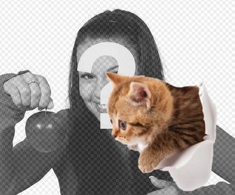 sticker di un gattino effetto che e venuta fuori della vostra foto