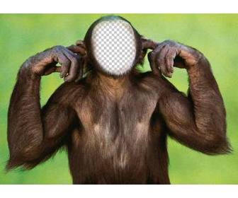 fotomontaggio di scimmia che non ascolta modificare tua foto