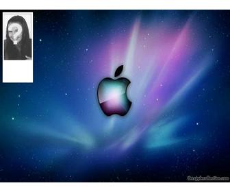 carta da parati e twitter foto di sfondo apple snow leopard