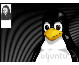 sfondo per twitter tux mascotte di linux dove puo mettere tua foto