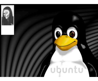 sfondo per twitter tux mascotte di linux dove si puo mettere tua foto