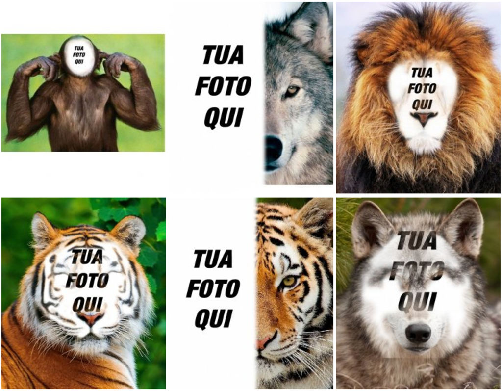 Fotomontaggi con gli animali