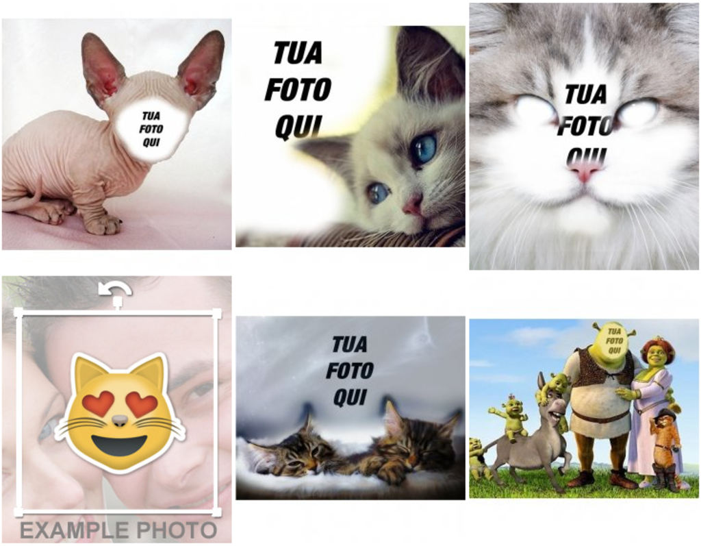 Fotomontaggio con i gatti a che fare con le vostre foto