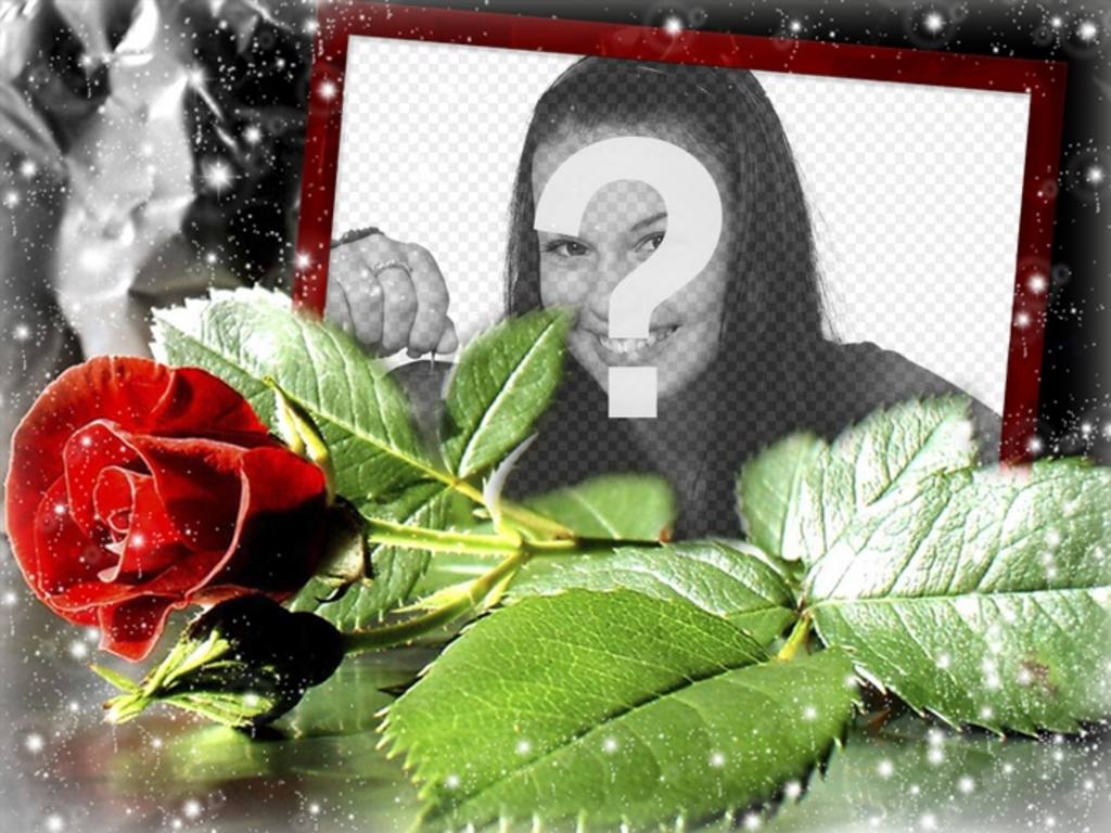 Cartolina per amore con una rosa in cui è possibile mettere la tua..