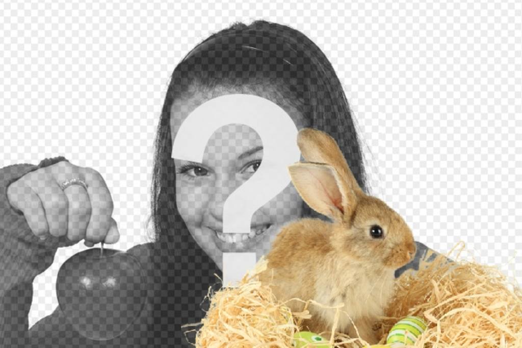 Fotomontaggio con un coniglio e uova di Pasqua da aggiungere alle tue foto online e..
